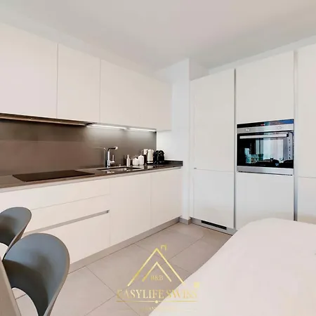 Rame Loft Per 4 Persone A -by Easylife Swiss Apartmán *