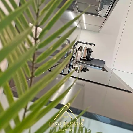 Apartmán Rame Loft Per 4 Persone A -by Easylife Swiss *